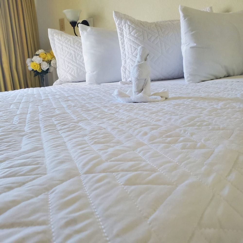 The Island Garden Hotel Basic Room, Pool View 9