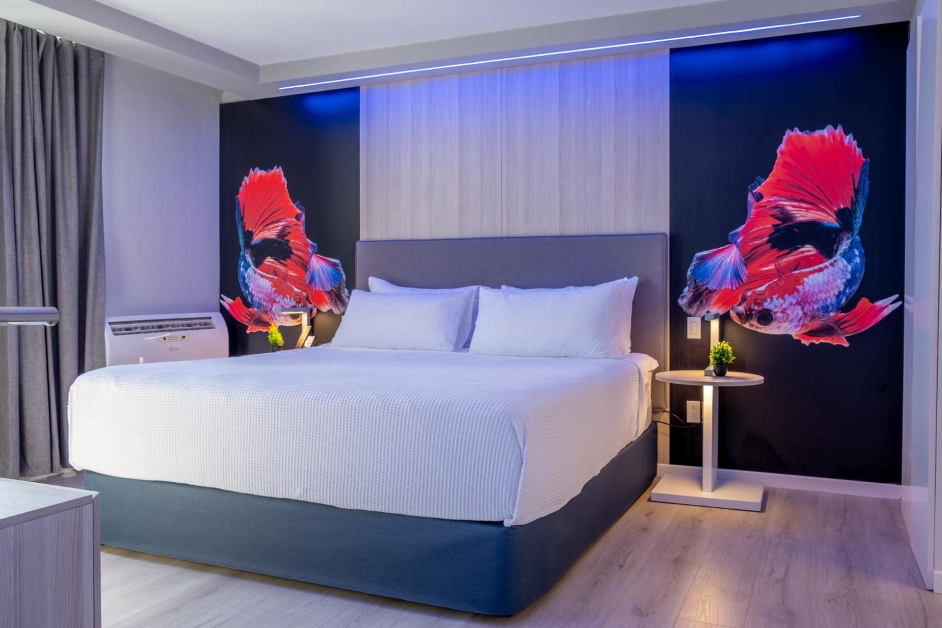 TRYP by Wyndham Aruba Premier King Suite