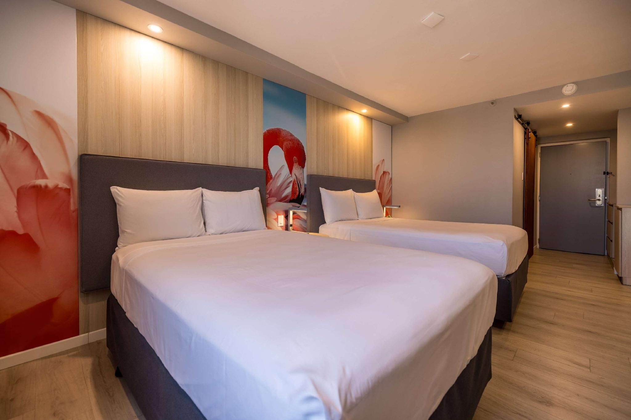 TRYP by Wyndham Aruba 2 Double Beds, Premier Room 2