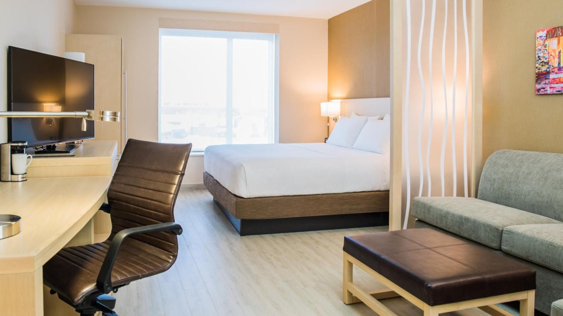 Hyatt Place King (with Sofa Bed)