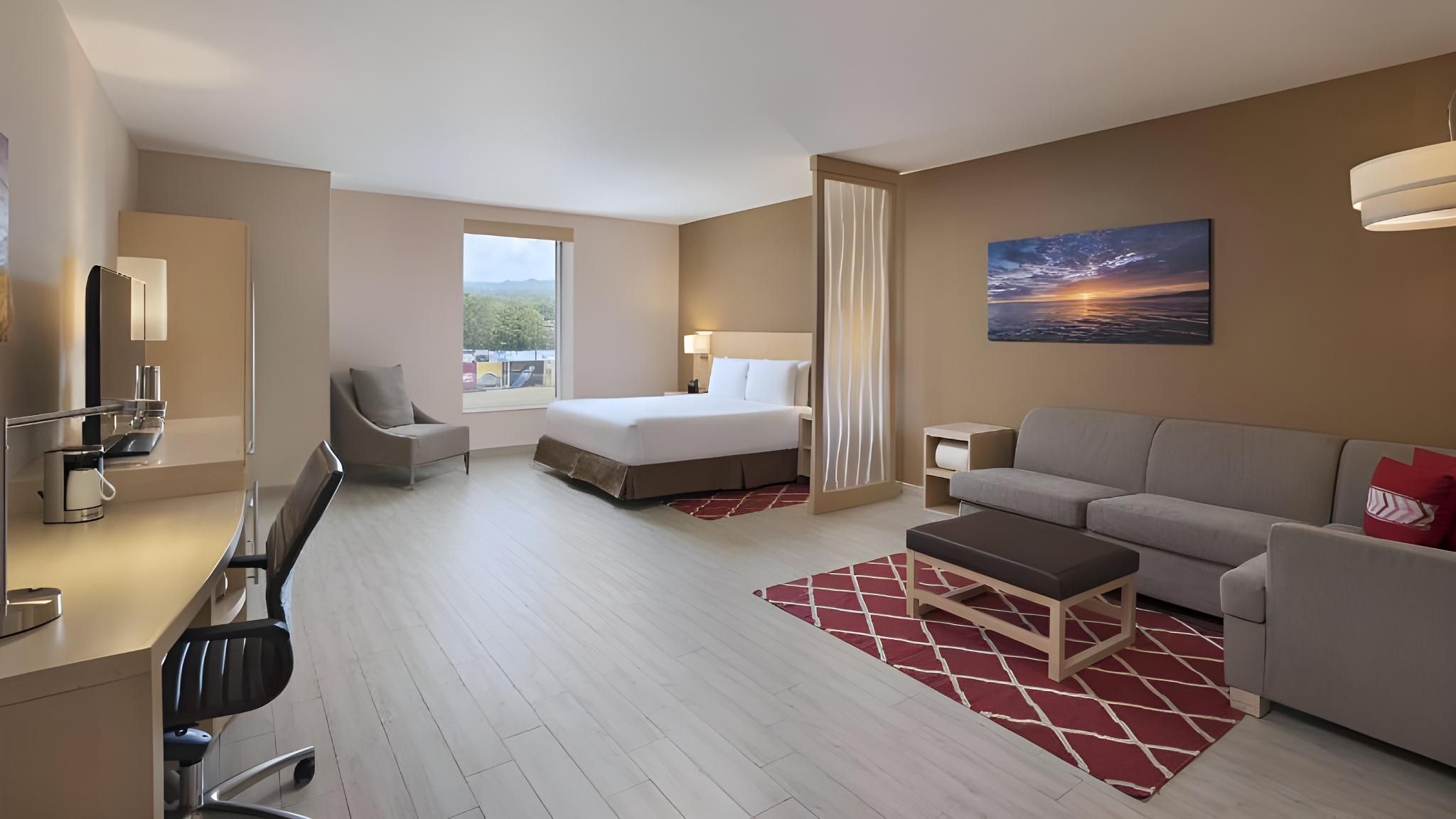 Hyatt Place King Accessible/roll-in Shower (with Sofa Bed)