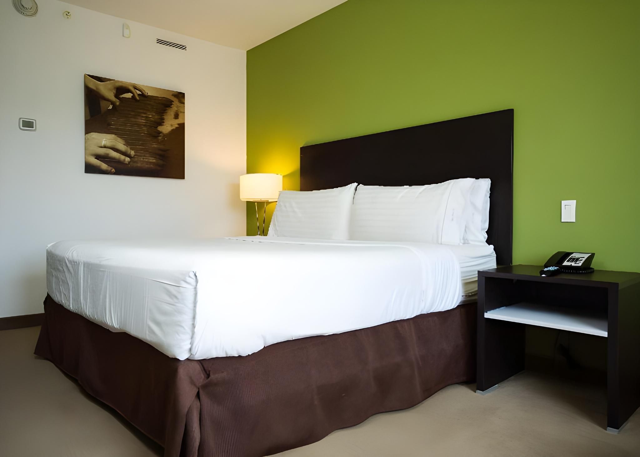 1 Bedroom Suite