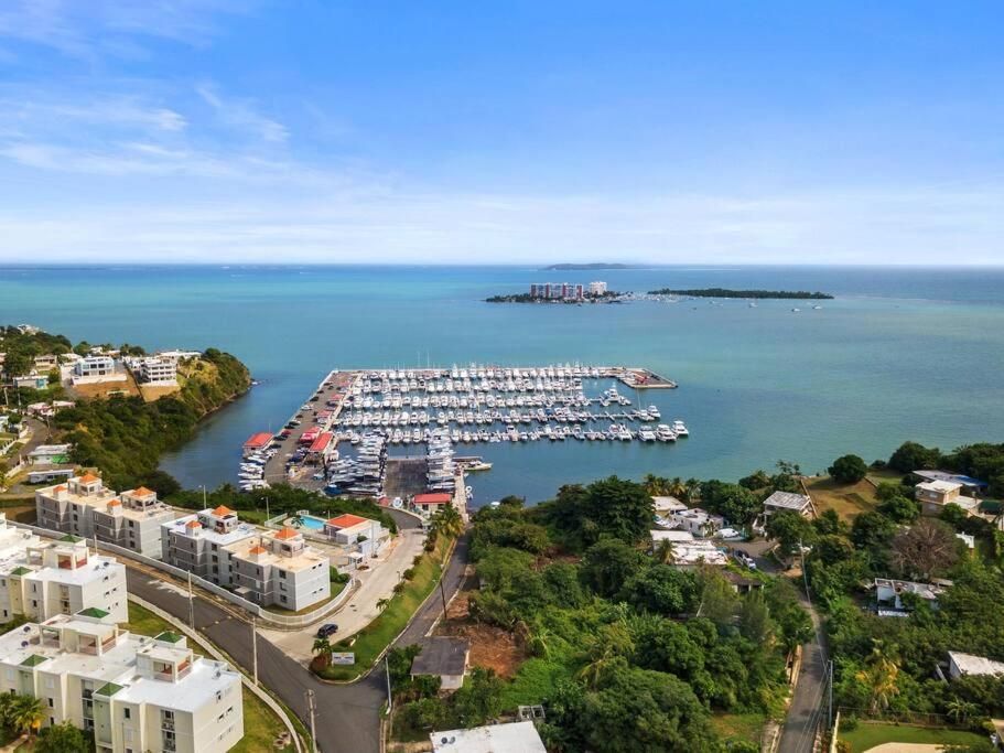 Marina Luxury Rooms #5 One-Bedroom Apartment 2