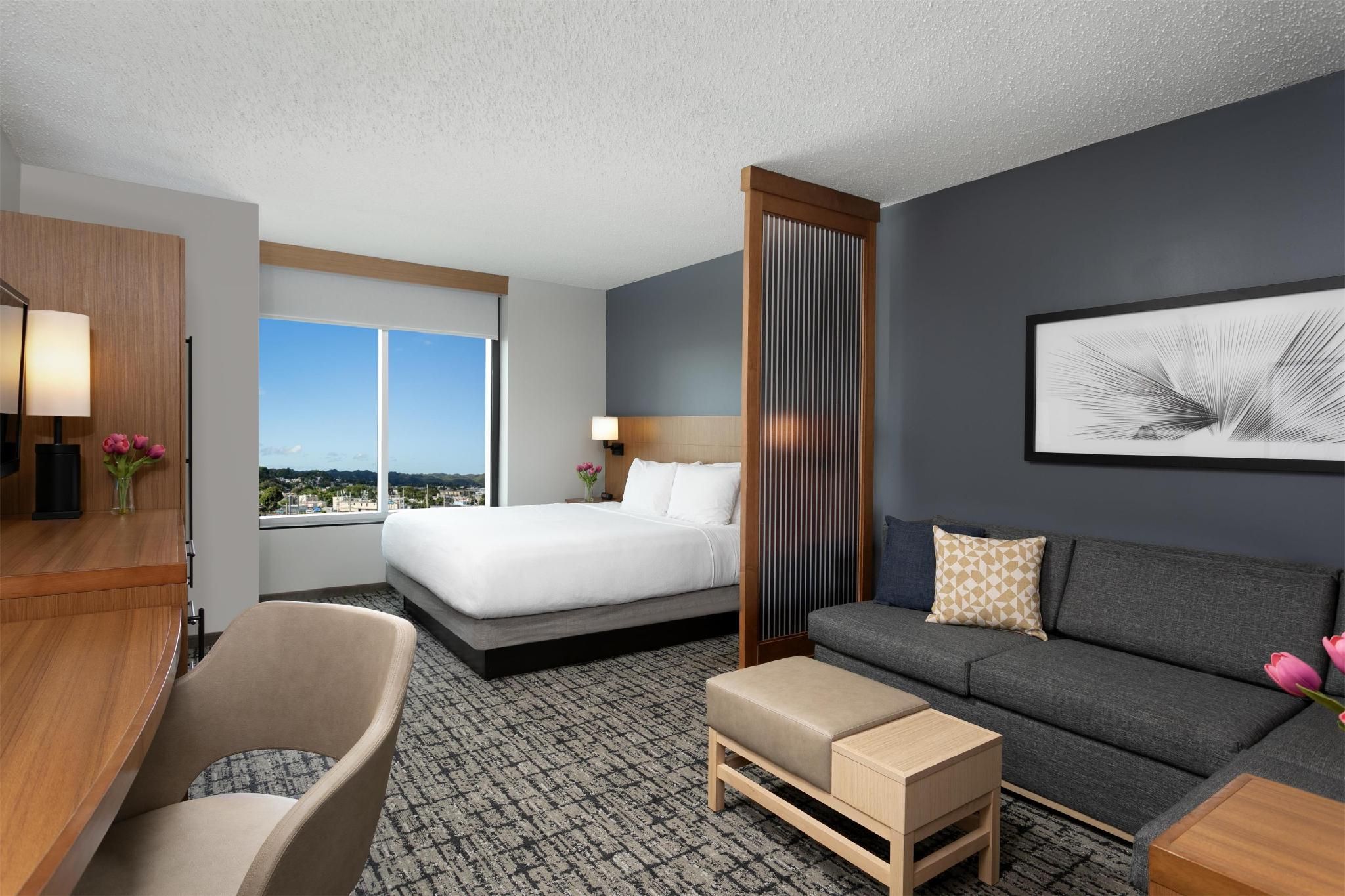 Hyatt Place Manati King Bed High Floor (with Sofa Bed)