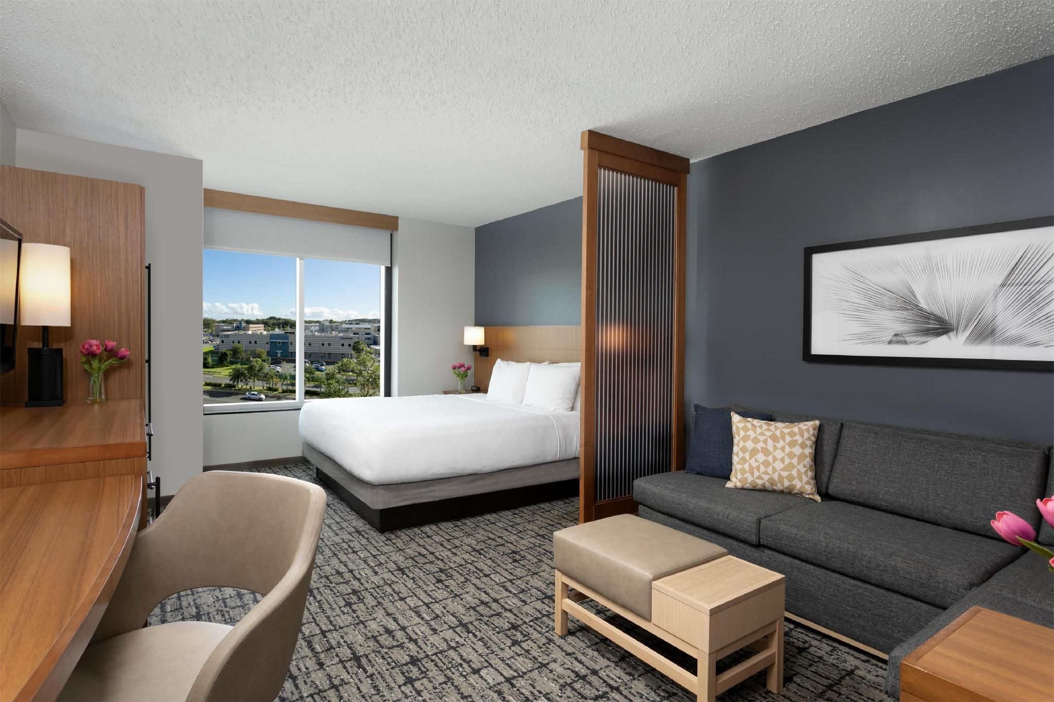 Accessible King Bed/roll-in Shower (with Sofa Bed)