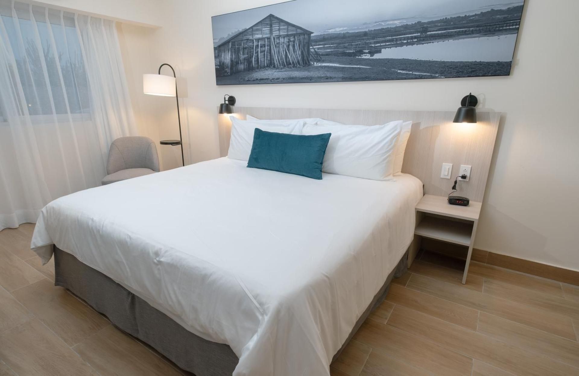 1 King Bed, Pullout Bed, Non-Smoking