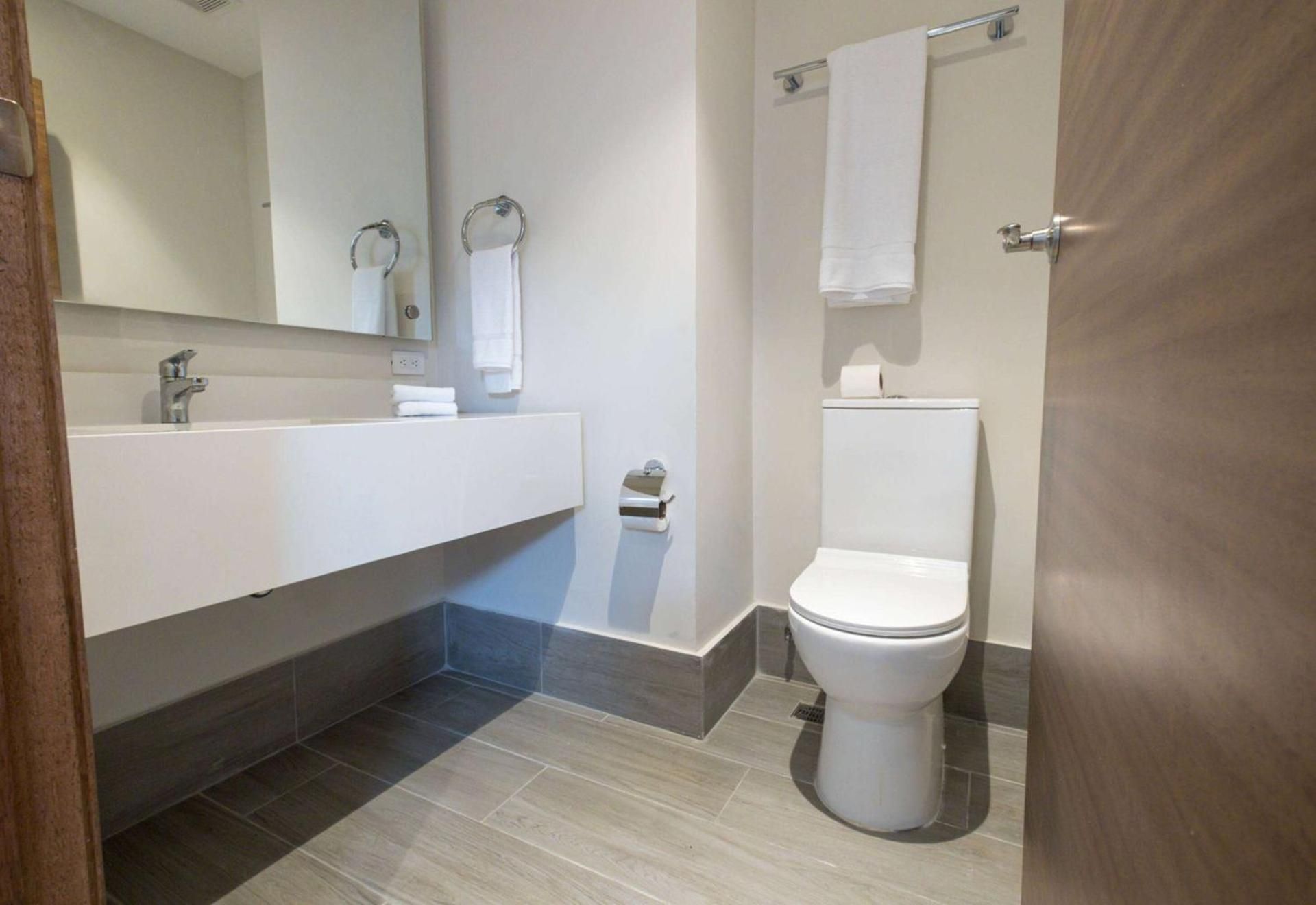 1 King Bed, Mobility Accessible Room, Roll-In Shower. Non-Smoking