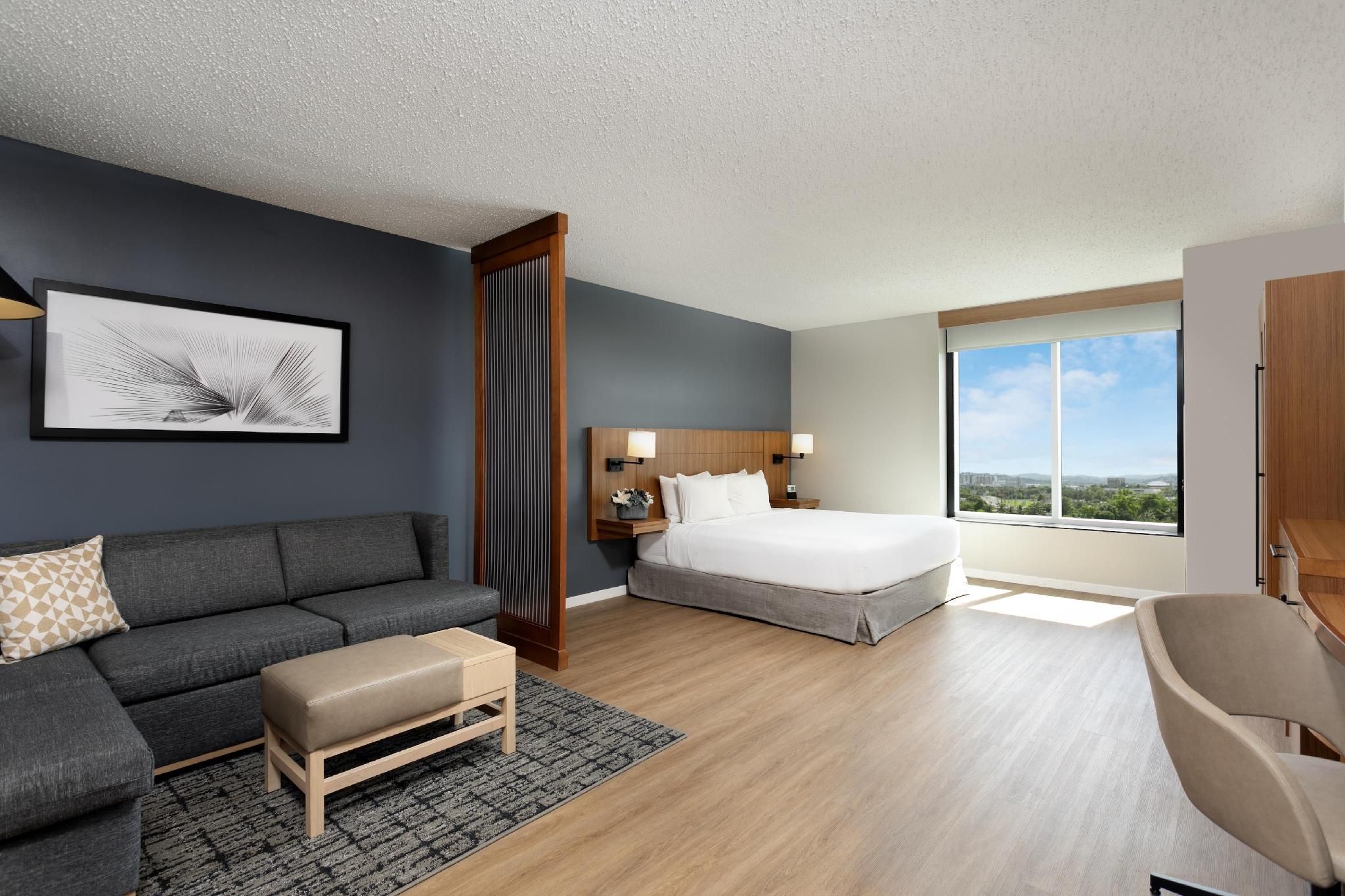 Accessible King Bed/roll-in Shower (with Sofa Bed)