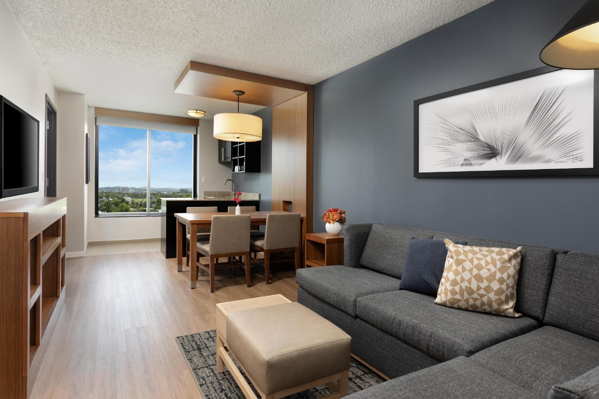 Accessible King Bed One Bedroom Suiterollin Shower Suite (With Sofa Bed)