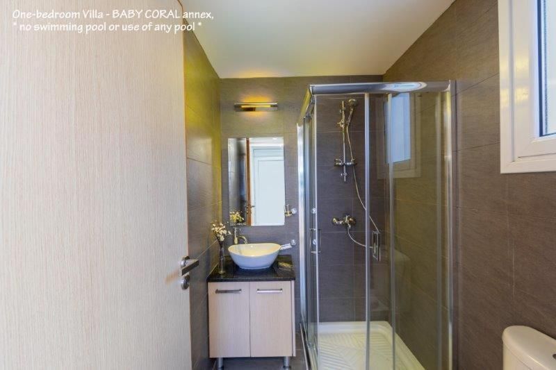 One-Bedroom Villa
