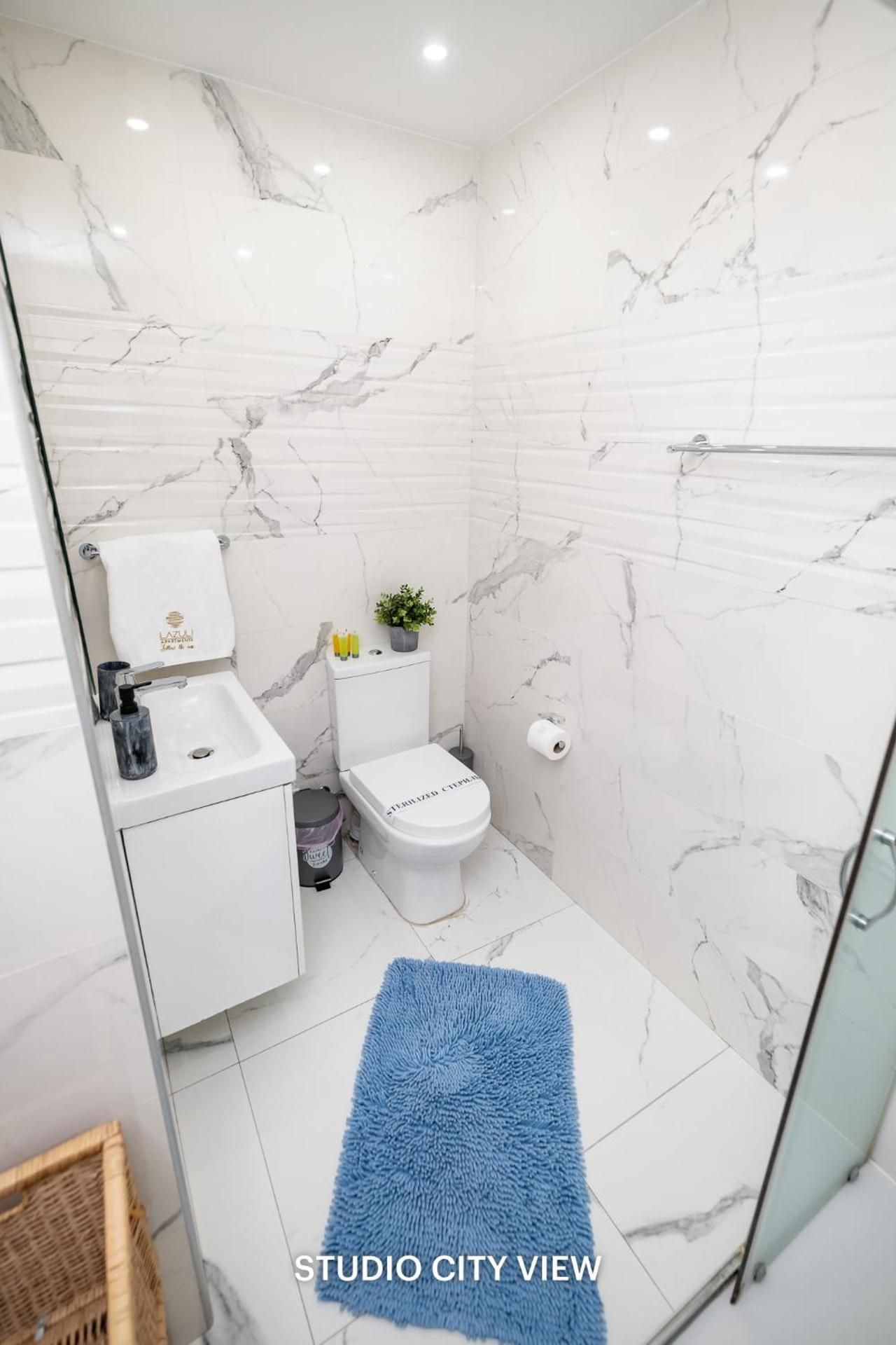 Studio Apartment with City View