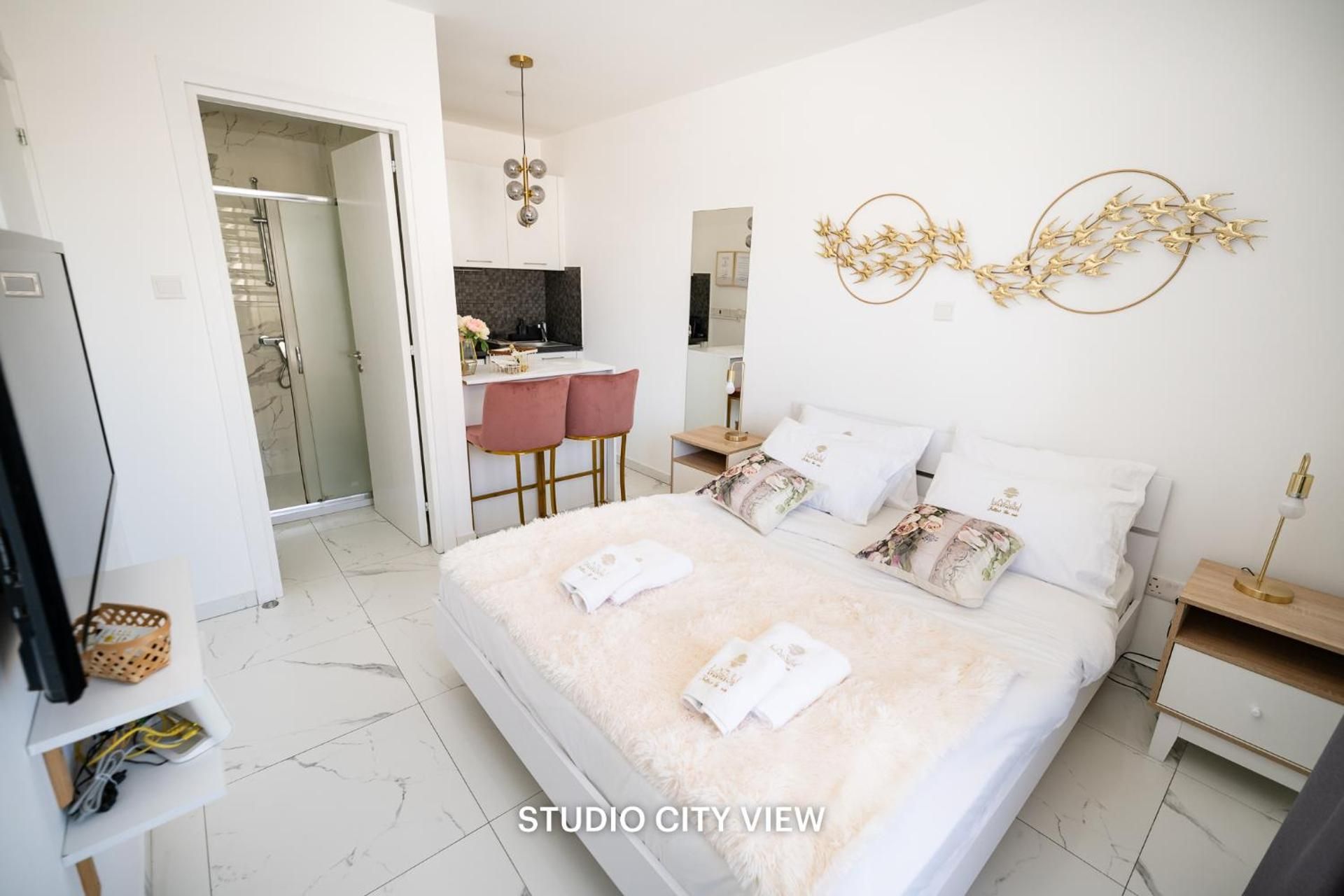 Studio Apartment with City View