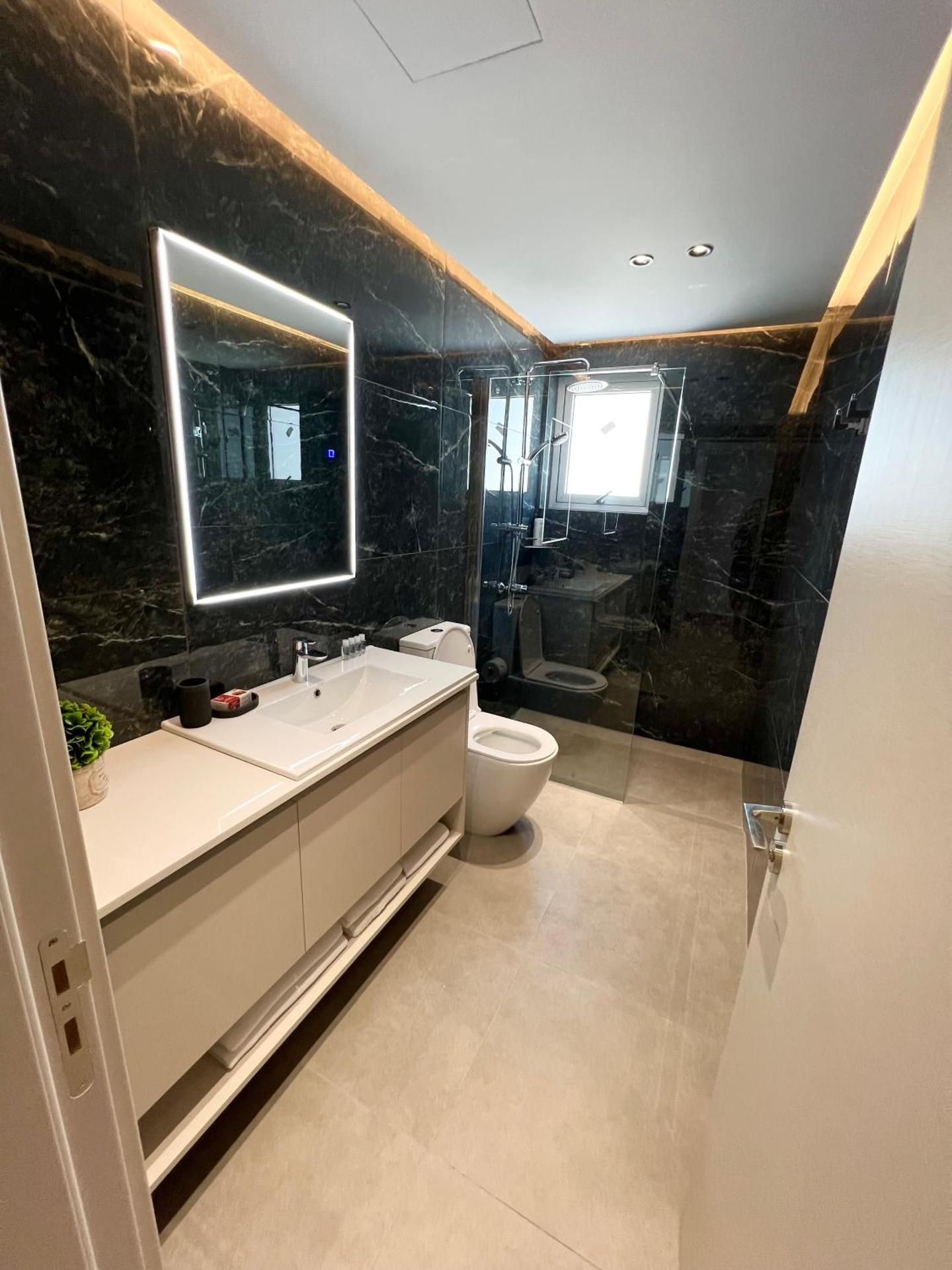 Deluxe One-Bedroom Apartment