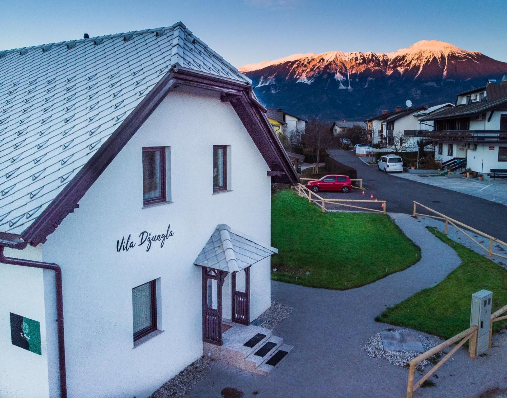 The Jungle Apartments and Rooms (Vila Dzungla)