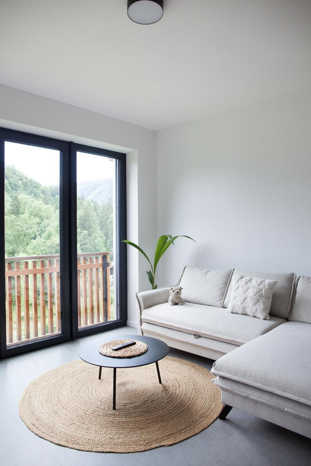Deluxe One-Bedroom Apartment