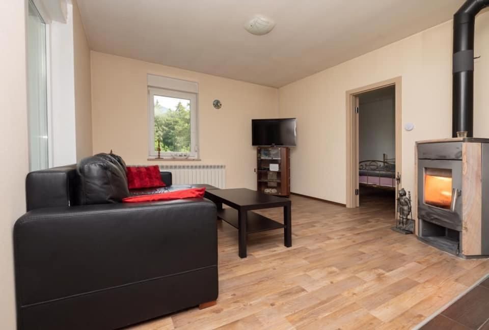 Apartmaji Velikonja One-Bedroom Apartment 2