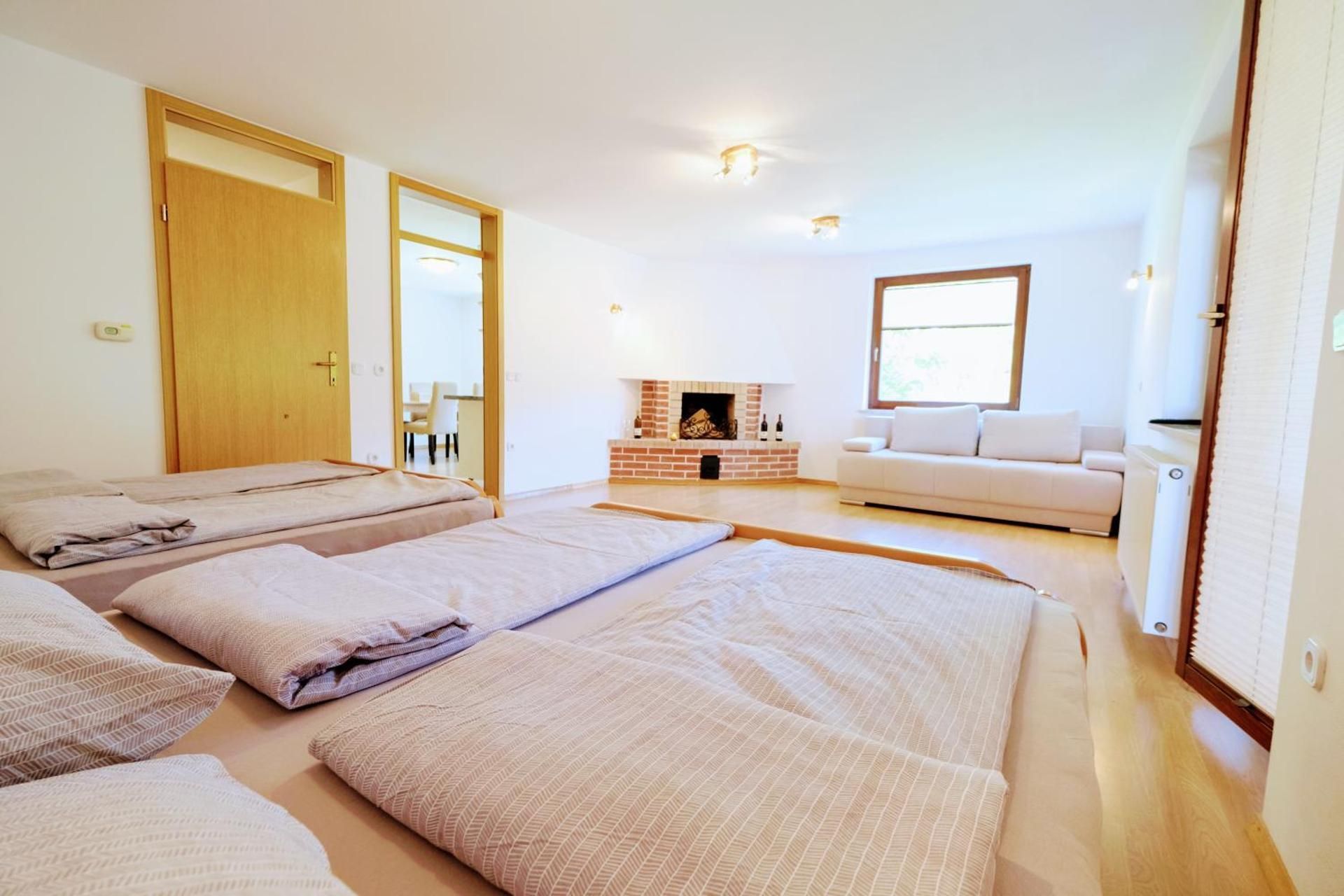 One-Bedroom Apartment with Terrace