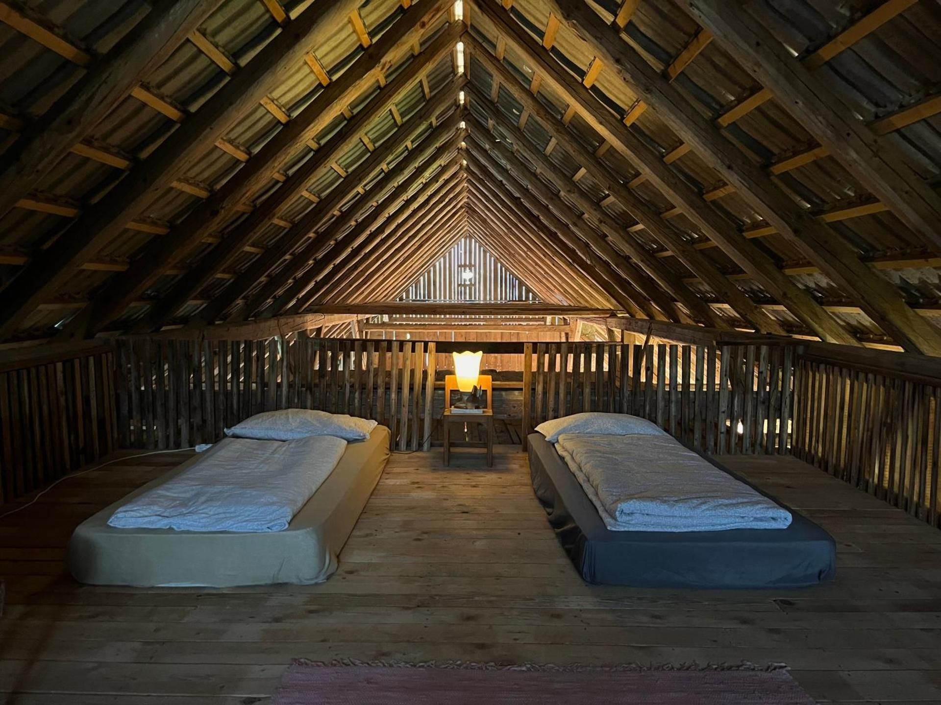 Single Bed in Mixed Dormitory Room