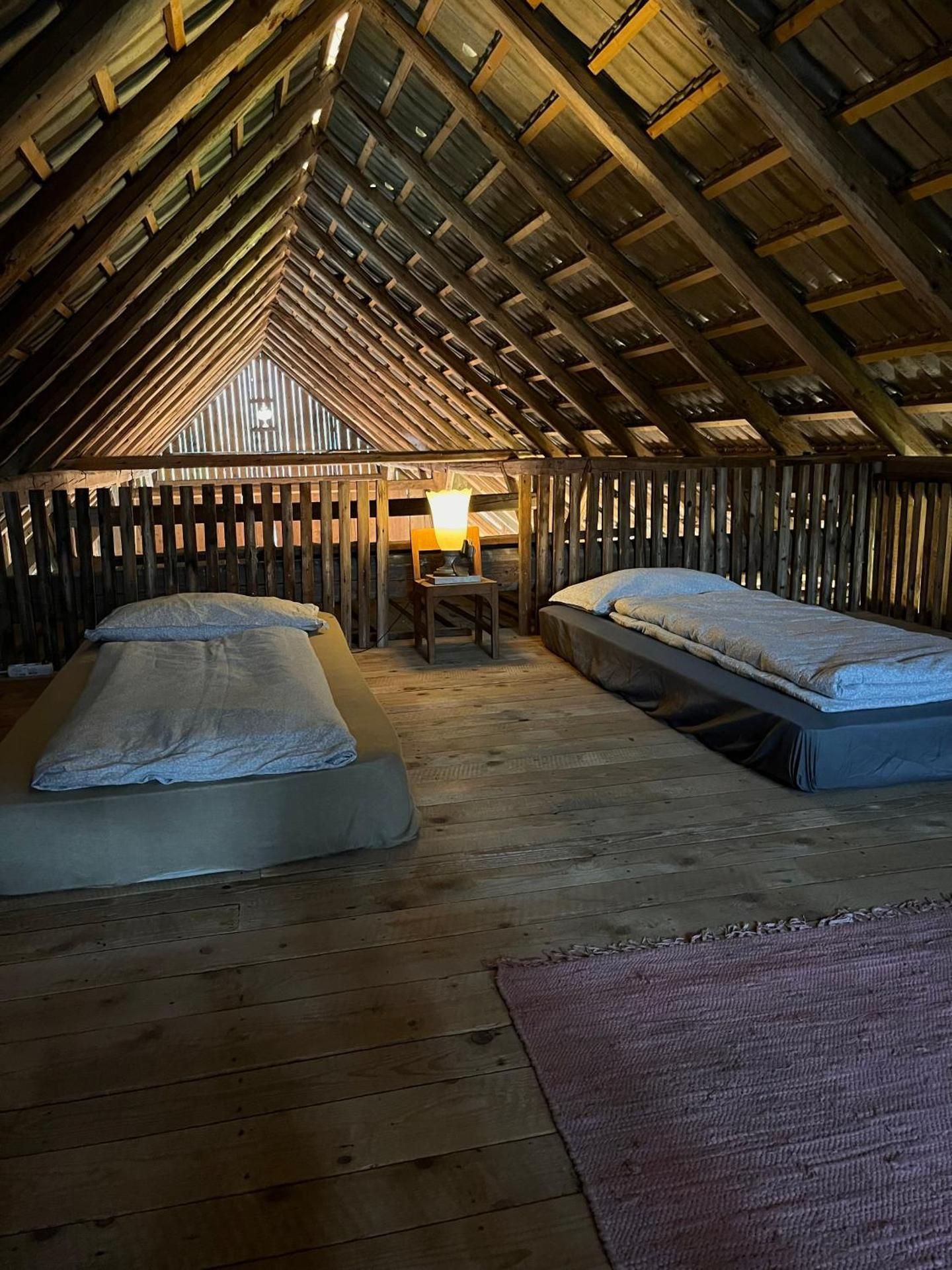 Single Bed in Mixed Dormitory Room