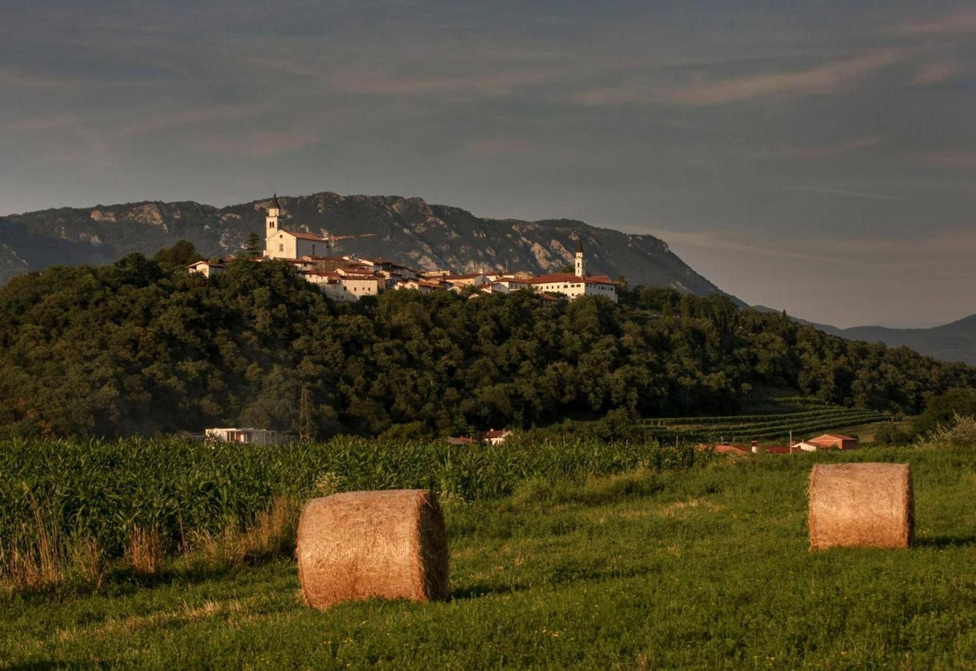 surrounding environment