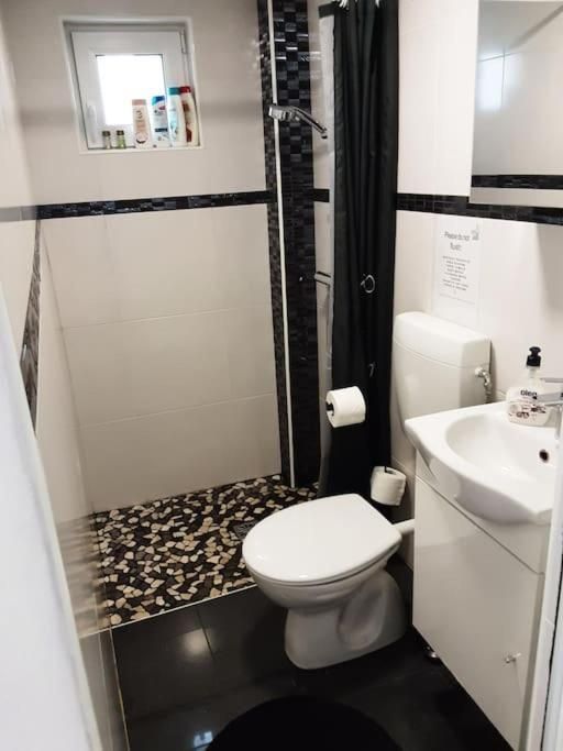 Duplex Apartment
