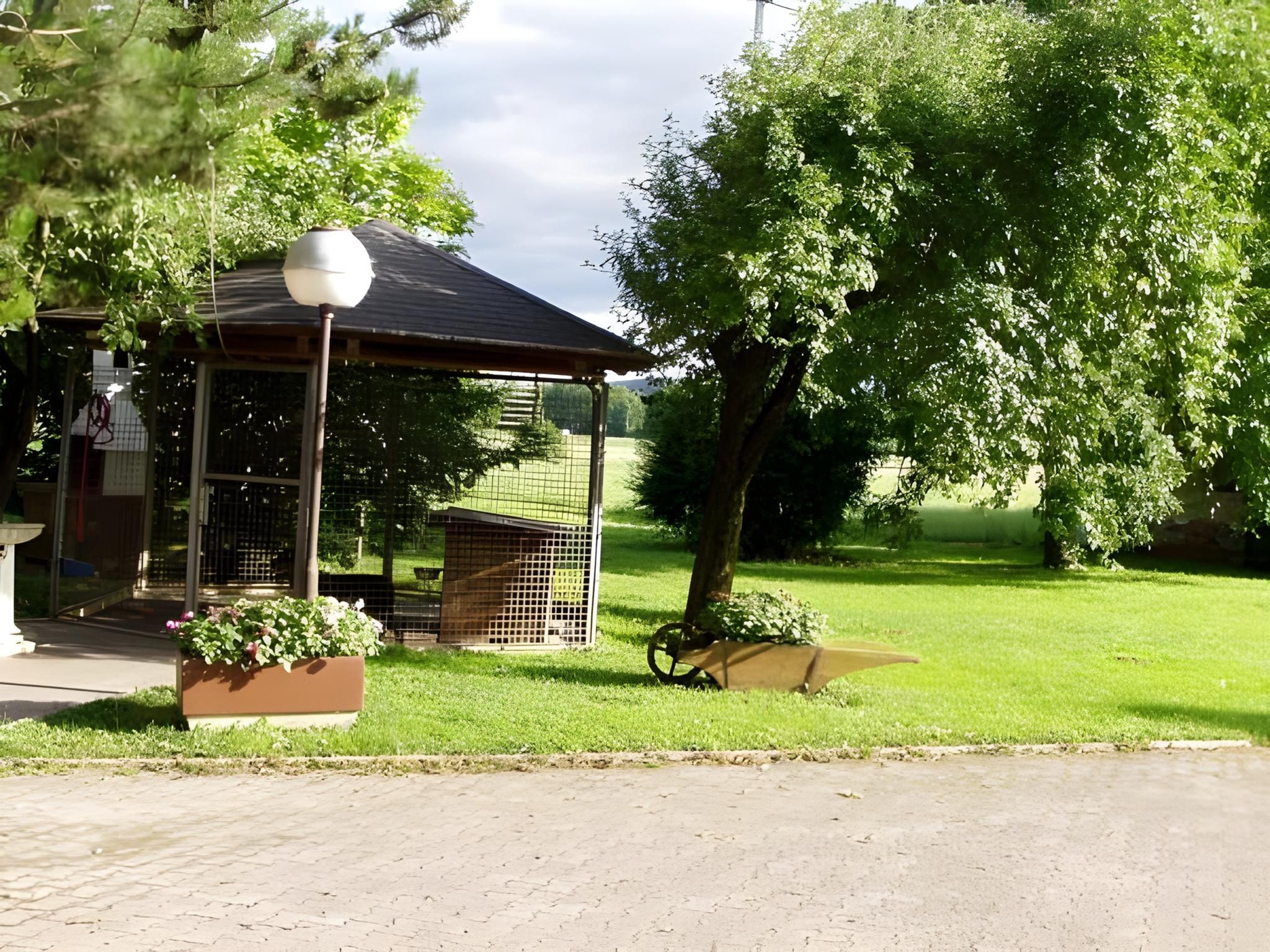 surrounding environment