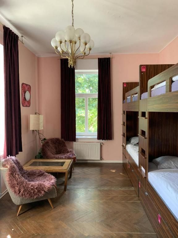Bed in 8-Bed Mixed Dormitory Room