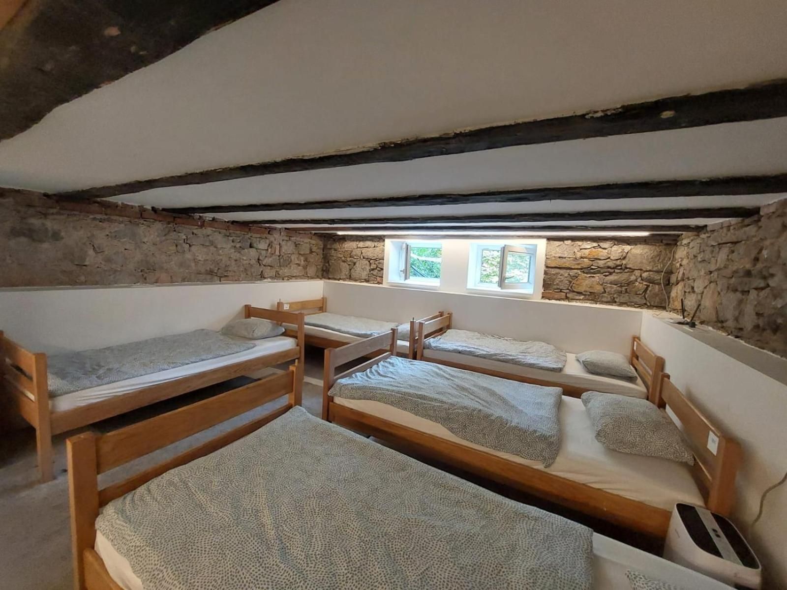 6-Bed Mixed Dormitory Room