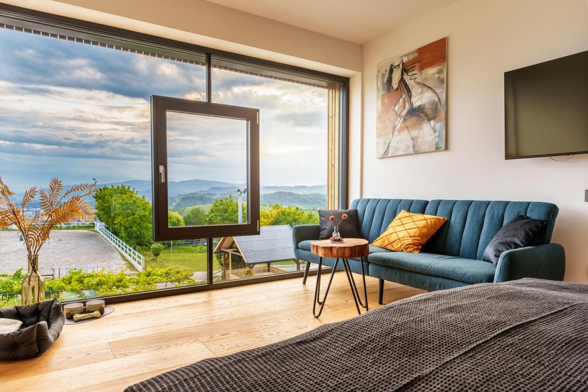 Deluxe Double or Twin Room with City View