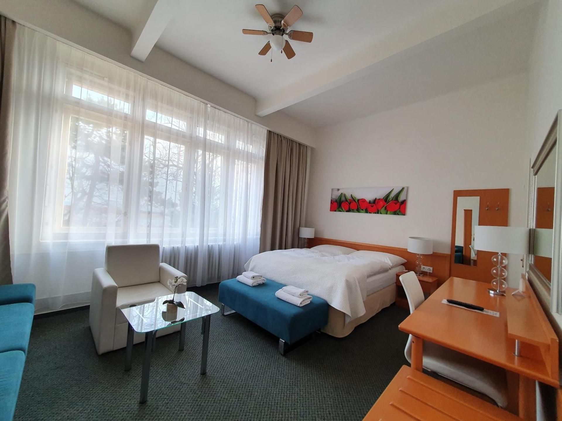 Hotel Jana / Pension Domov Mladeze Comfort Double Room