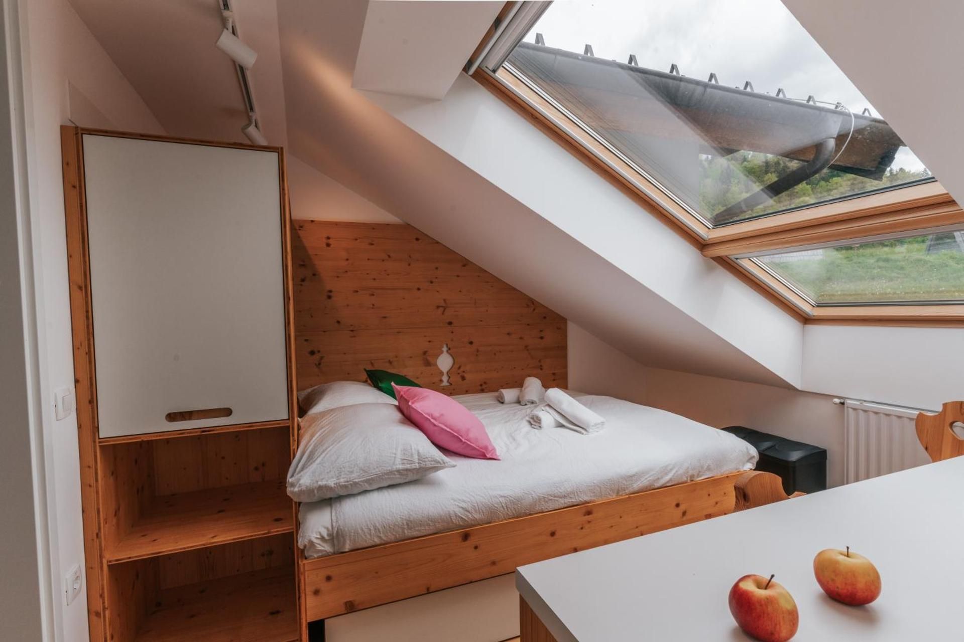 Studio with Garden View