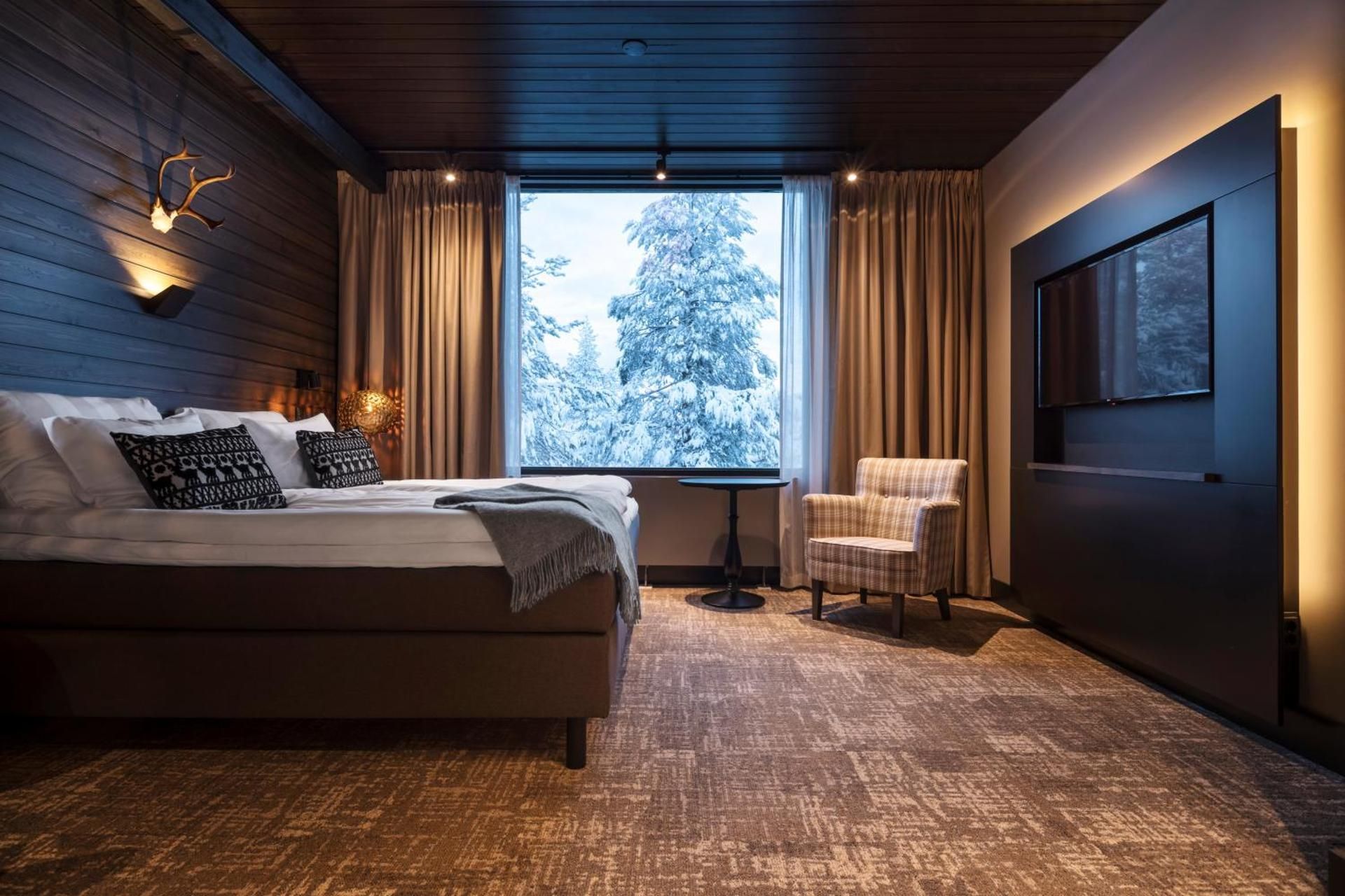 Arctic Junior Suite with Sauna
