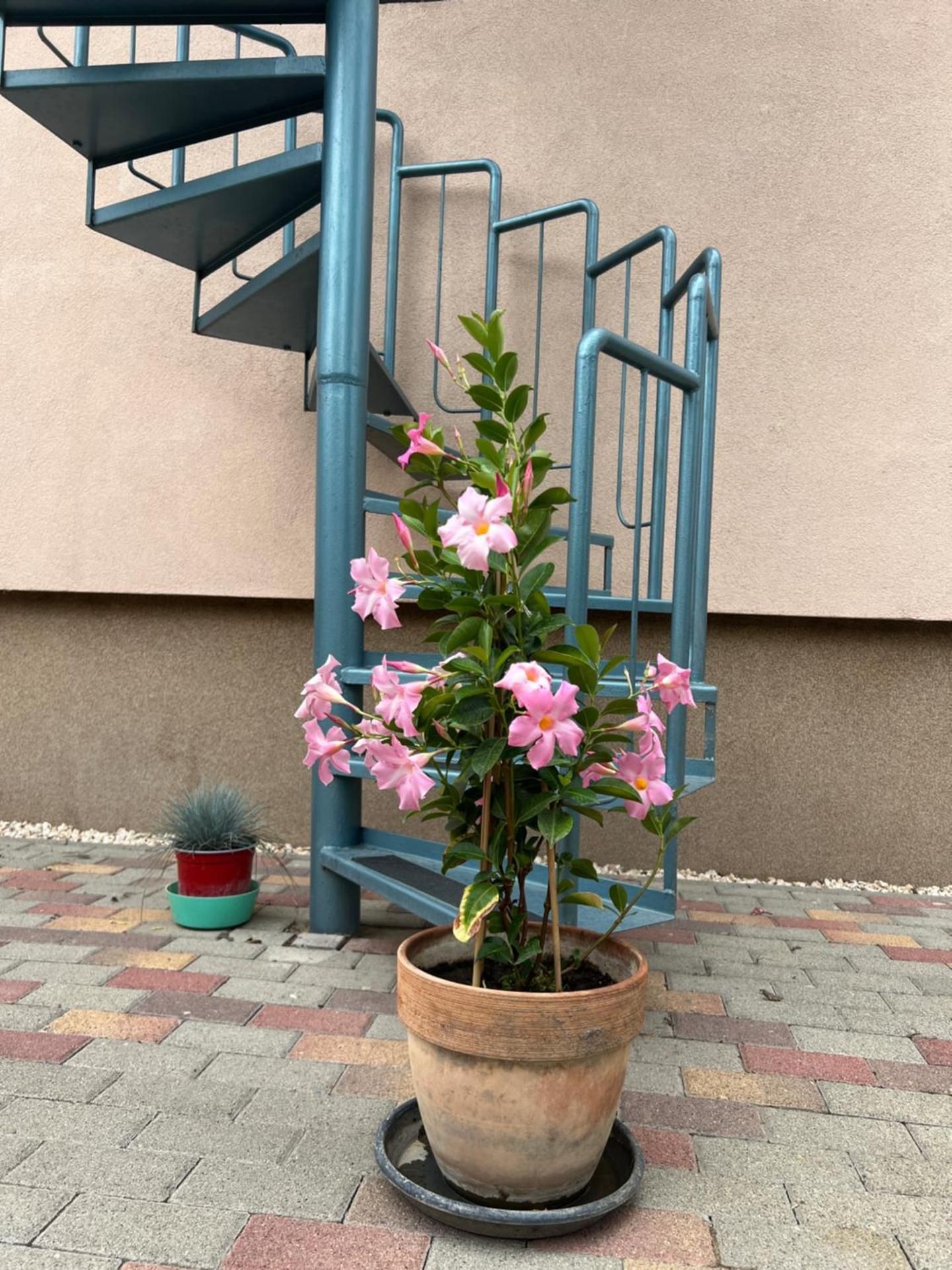Katay Apartman