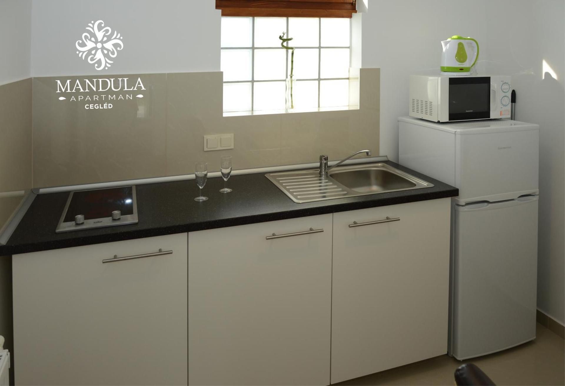 Mandula Apartman Apartment with Terrace 2