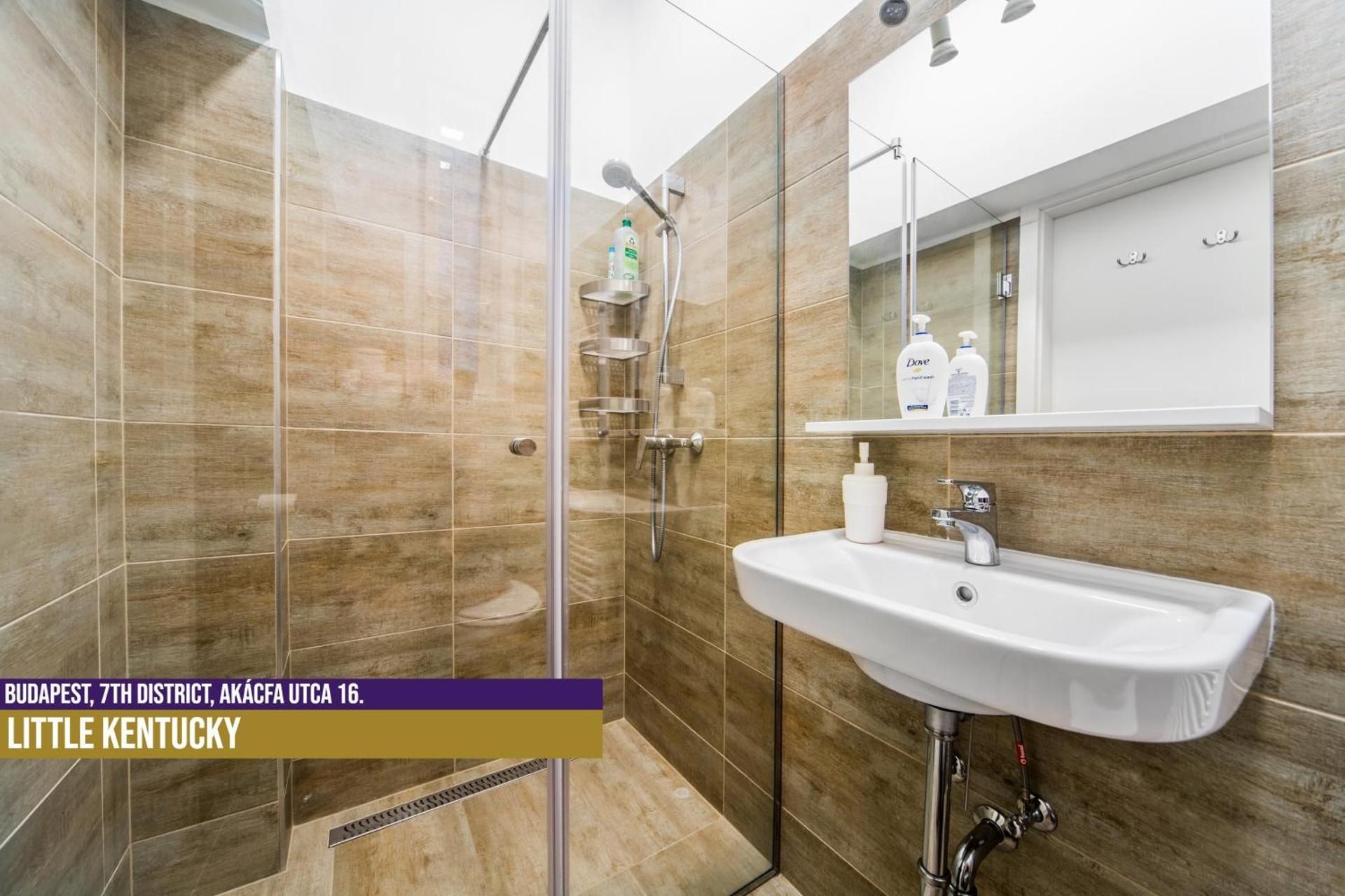 Standard Apartment - Akácfa street 16. Budapest 1072