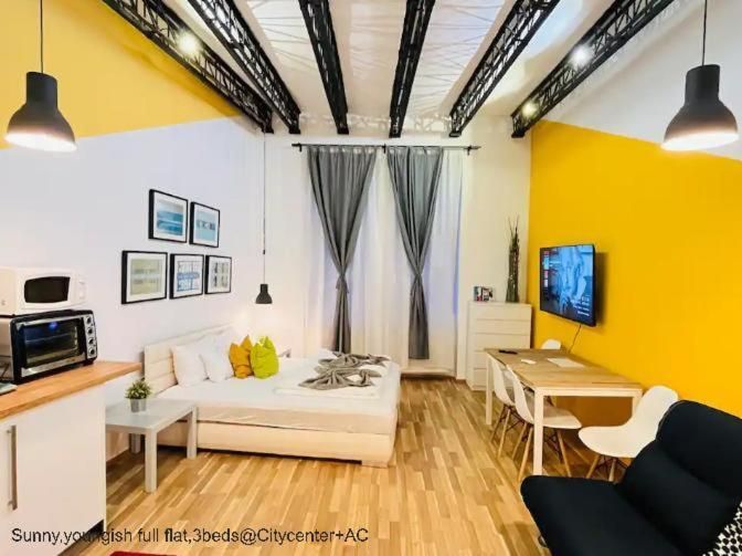 Sunny,youngish full flat,3beds@Citycenter+AC
