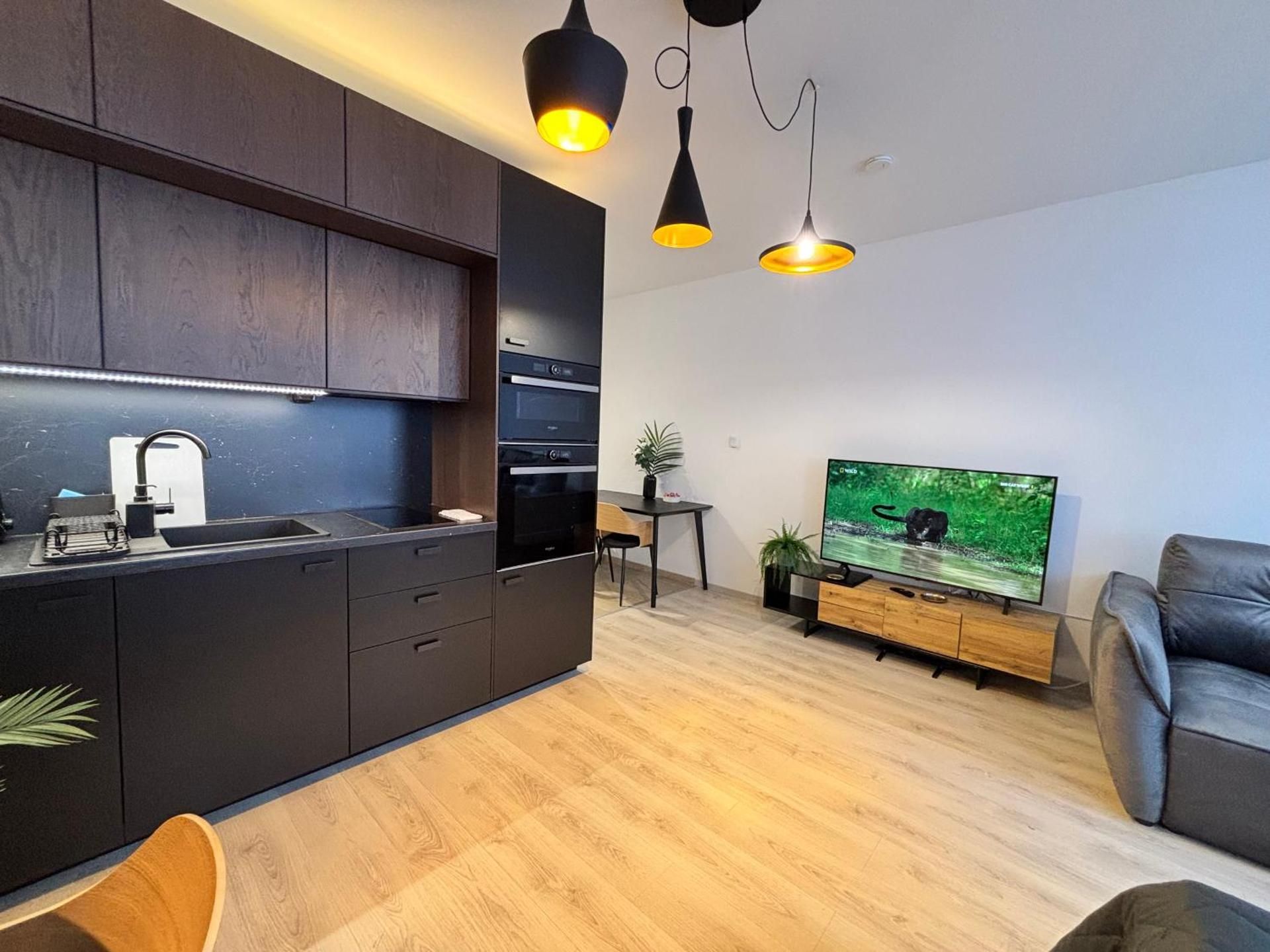 Studio Apartment with King Bed