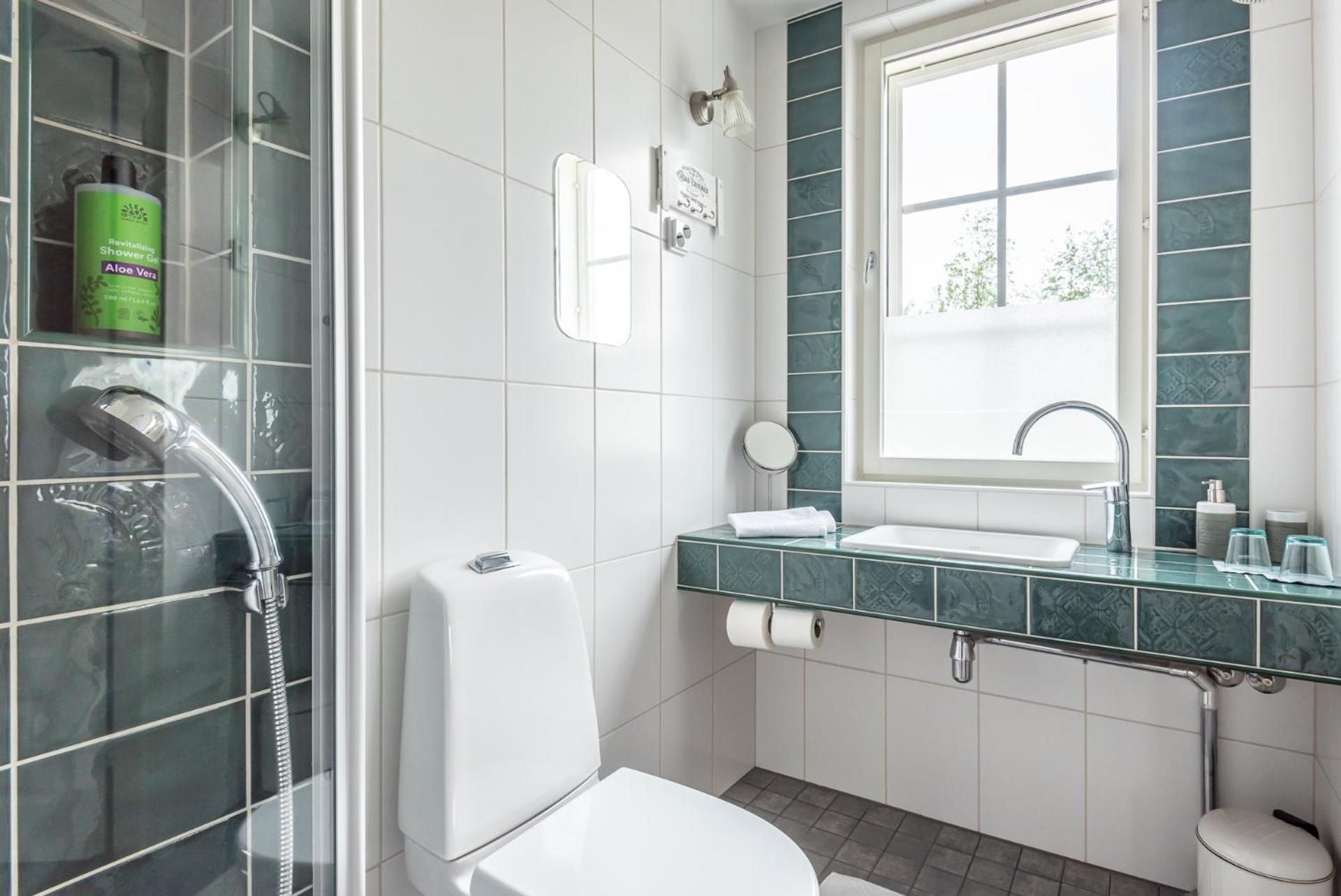 Villa Jokivarsi Bed & Breakfast Double Room with Private Bathroom 3