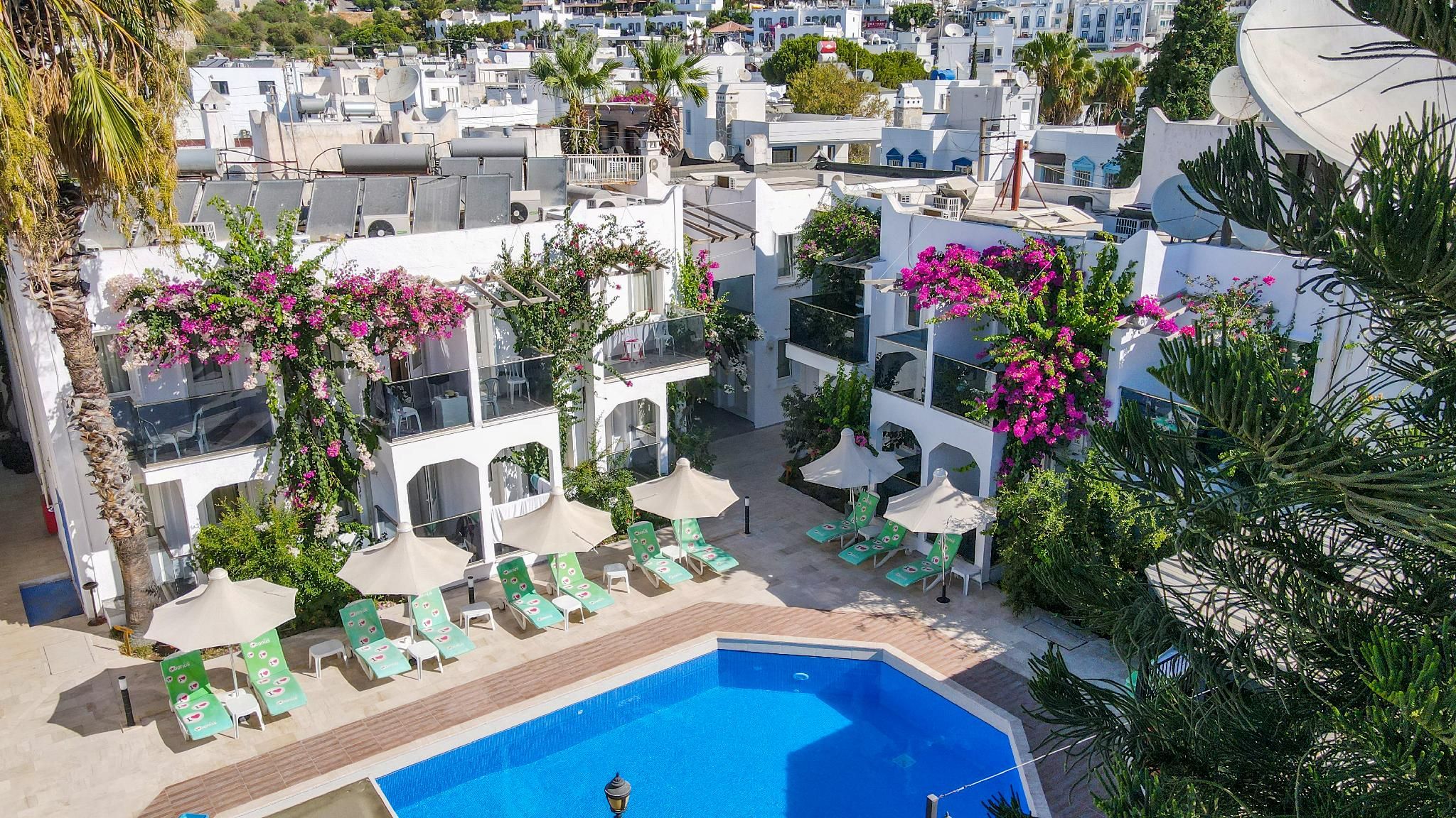 swimming pool [outdoor]