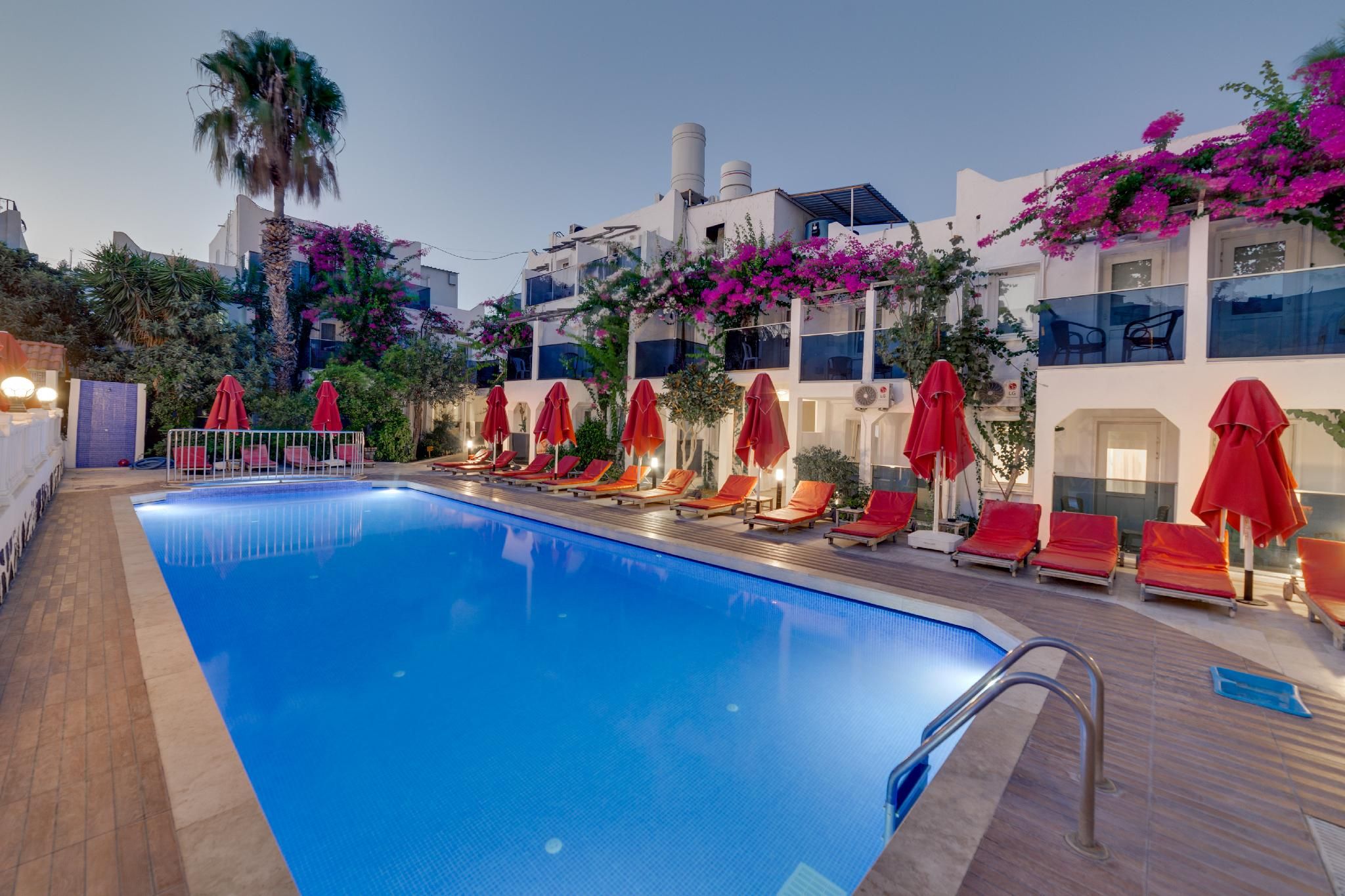 swimming pool [outdoor]