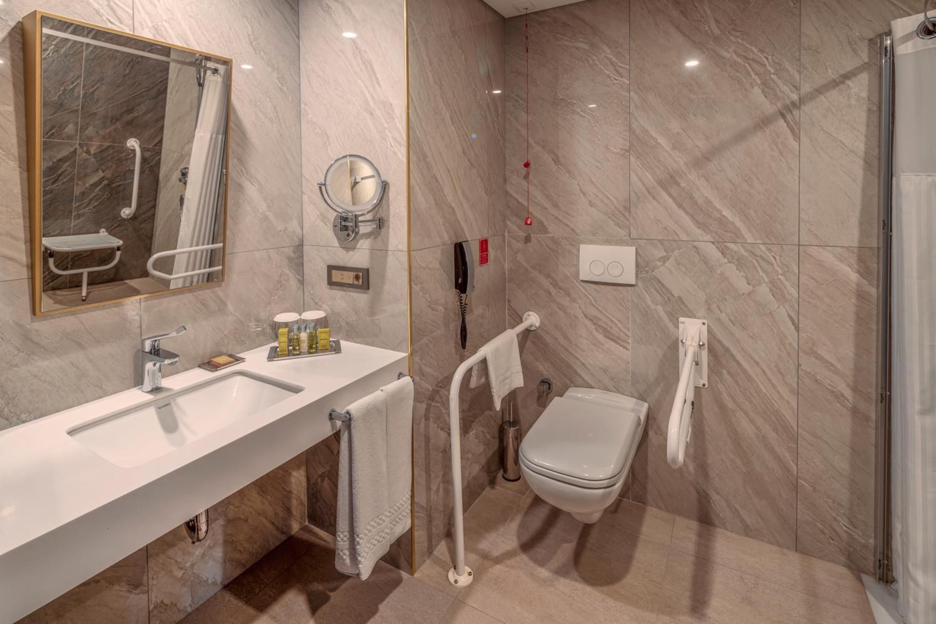 King Accessible Room