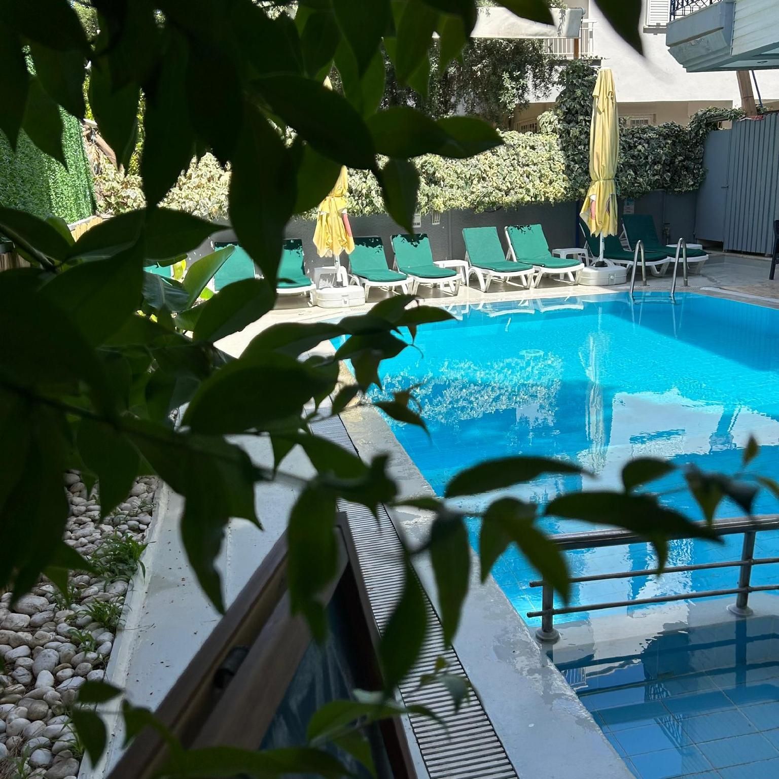 swimming pool [outdoor]