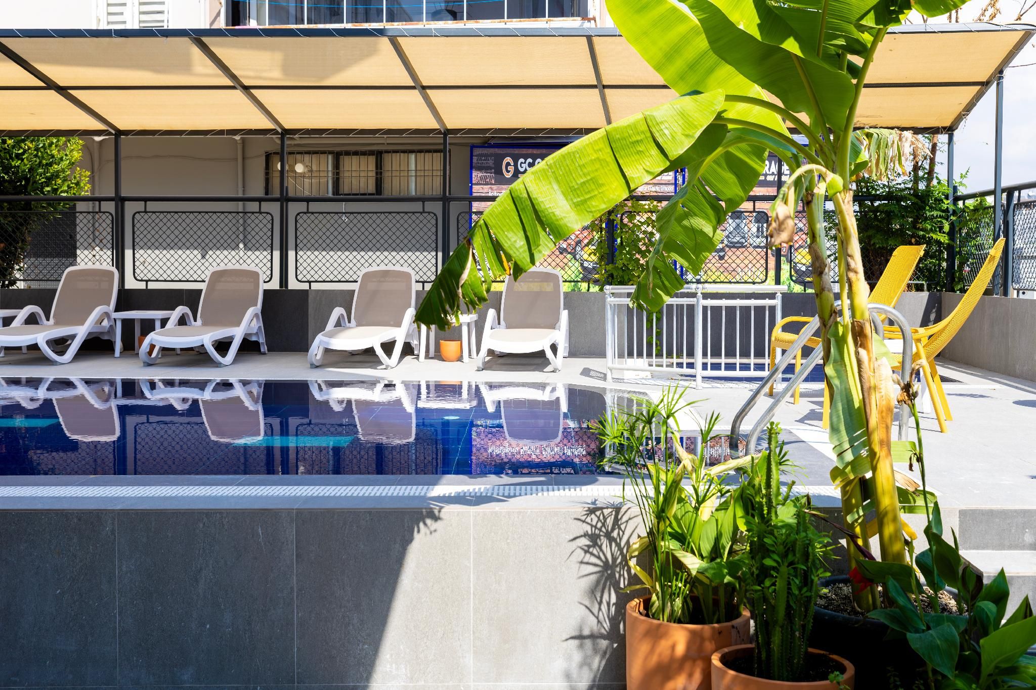 swimming pool [outdoor]