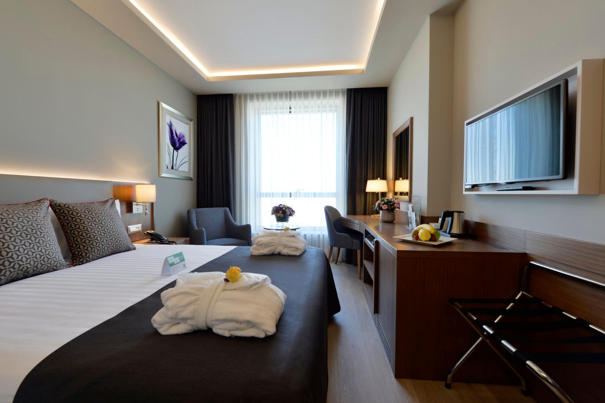 Holiday Inn Bursa - City Centre By IHG 1 Queen Standard City View