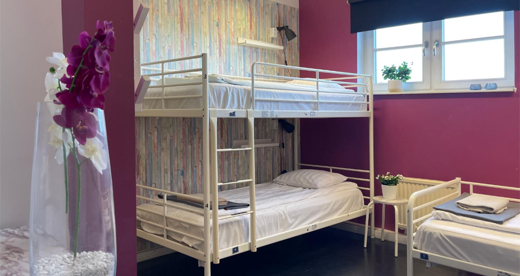 10 Bed Mixed Community Dorm