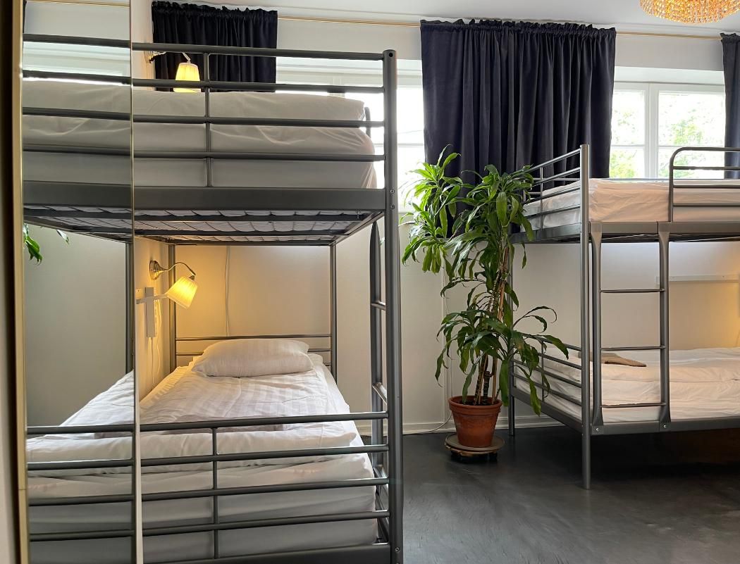 Dorm Premium Mix 6 Sharing