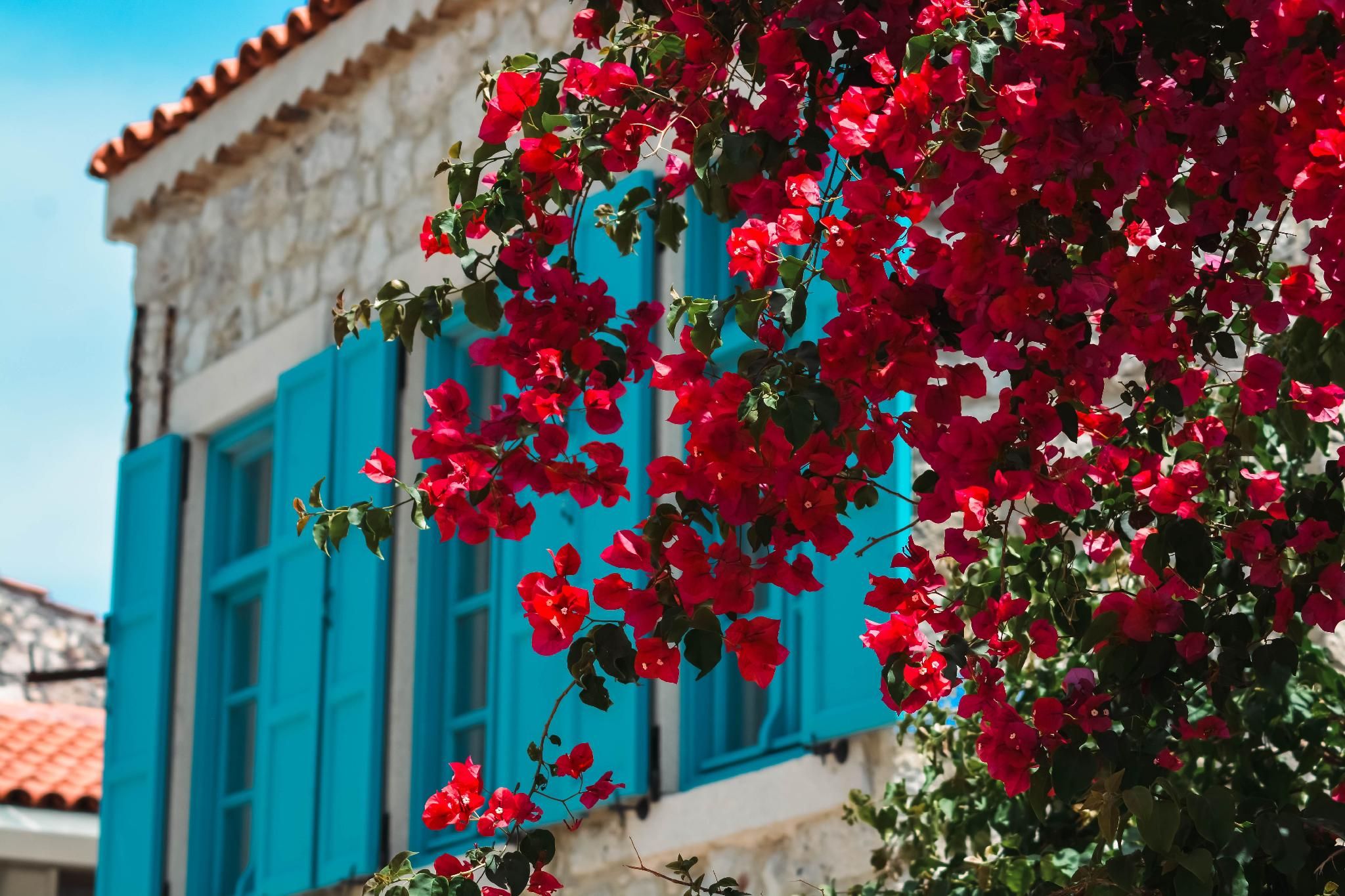 Casa Alegre Hotel Alaçatı