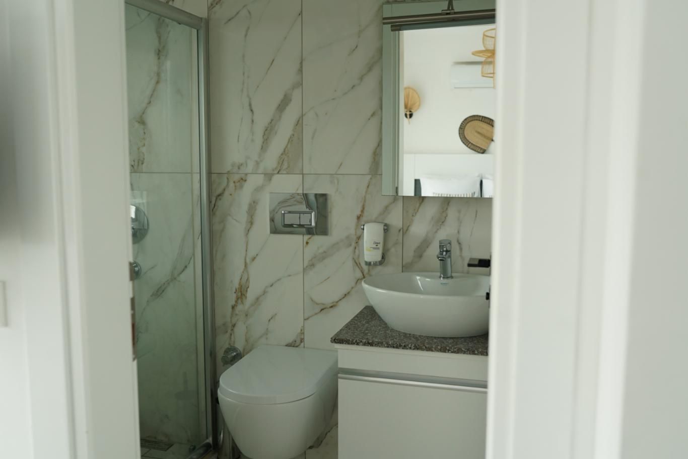 Deluxe Room with Terrace