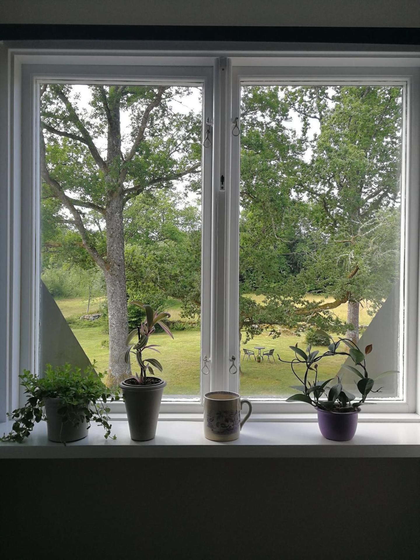 Single Room with Garden View
