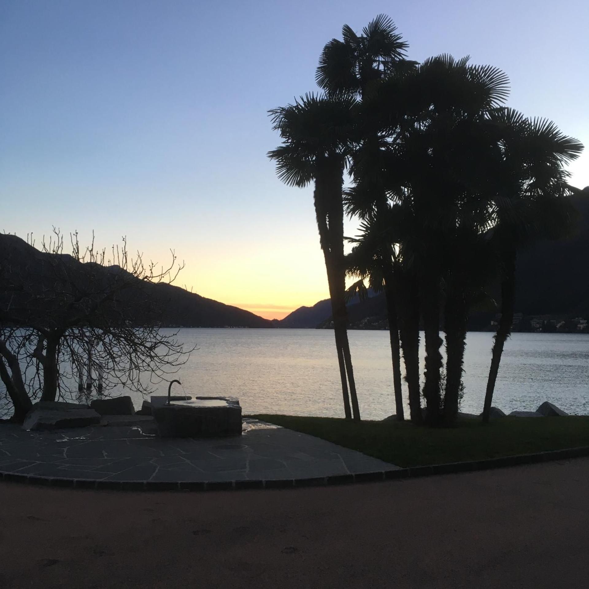 surrounding environment